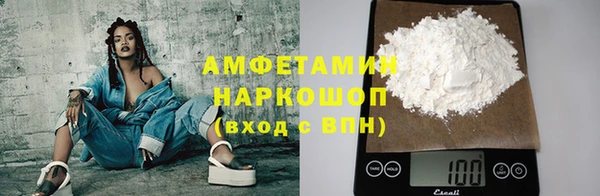 гидра Елизово