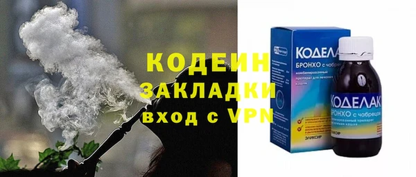 гидра Елизово