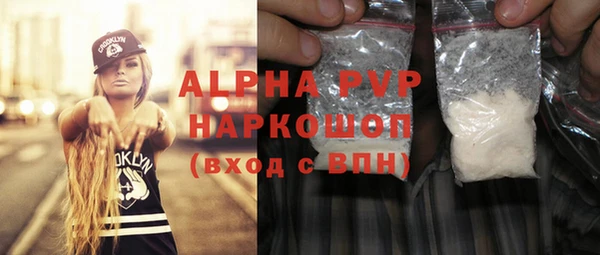 гидра Елизово
