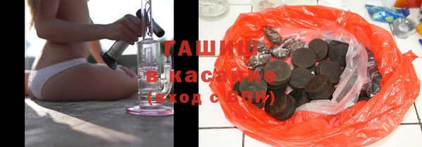 гидра Елизово