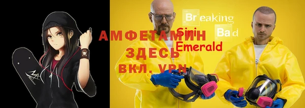 гидра Елизово