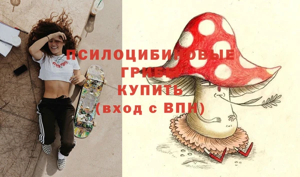 прущий лед Елабуга