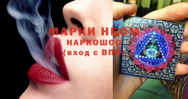 гидра Елизово