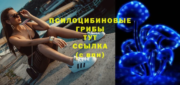 гидра Елизово